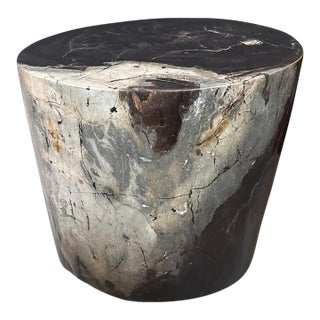 Andrianna Shamaris Impressive Ancient Petrified Wood Side Table For Sale