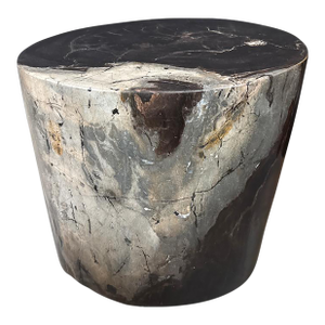 Andrianna Shamaris Impressive Ancient Petrified Wood Side Table