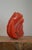 1970s Vintage Sculptural Resin Shell Wall Sconce, 1970s For Sale - Image 5 of 18