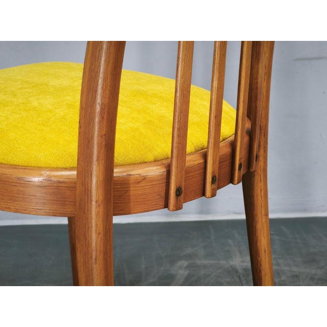 Mid-Century Modern Beech Dining Chairs from TON, Czechoslovakia, 1970s, Set of 4 For Sale - Image 6 of 16