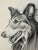 Original graphite pencil drawing by American artist and illustrator Theodore E. Schrock (1879–1952), depicting a finely...