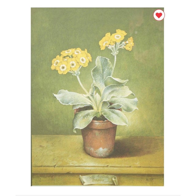 Set of 5 Stunning Botanical Framed Prints Signed and Numbered For Sale In Los Angeles - Image 6 of 18