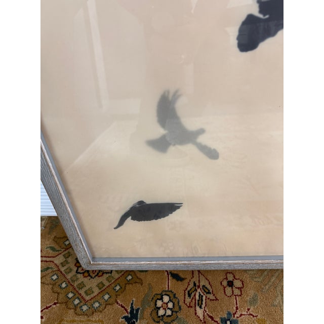 Silver Restoration Hardware Teen Birds in Flight Vellum Print, Framed For Sale - Image 8 of 12