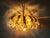 Vintage Chandelier from Palwa, 1960s For Sale - Image 6 of 18