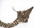 Asian Metal Filigree Opium Pipe, Silver Plate, Chinoiserie Style, 1920 For Sale - Image 14 of 17
