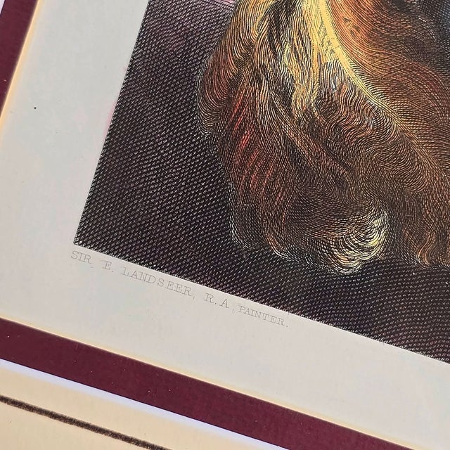 Sir Edwin Henry Landseer, Cavalier King Charles Spaniel, 1800s, Etching For Sale - Image 6 of 16