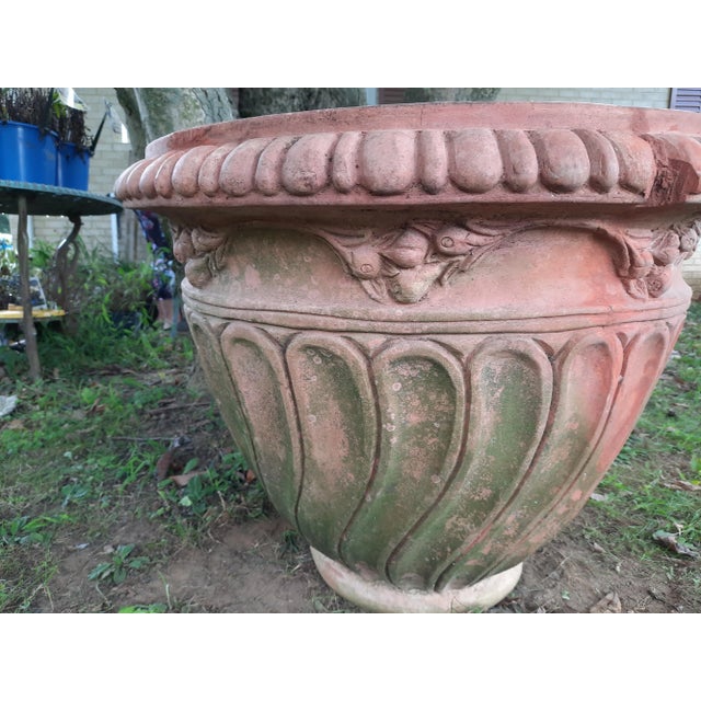 Late 20th Century Italian Fig Terra Cotta Pot For Sale - Image 5 of 13