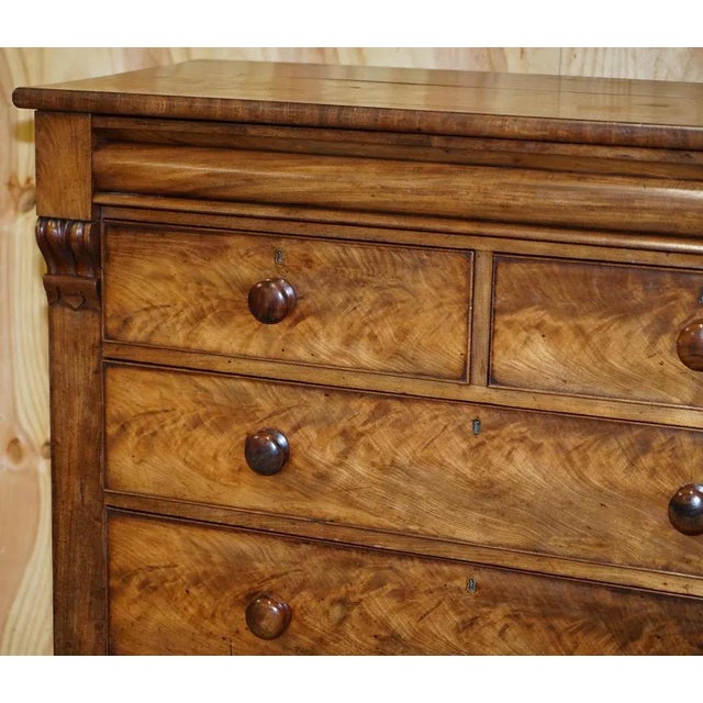 Wood Large 19th Century Light Flamed Hardwood Chest of Drawers with Hidden Drawer For Sale - Image 7 of 17