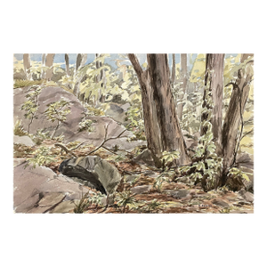 1950s Elizabeth Slater Forest Landscape Watercolor