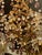 Early 20th Century Italian Beaded Crystal and Amethyst Chandelier For Sale In Dallas - Image 6 of 6