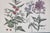 Vintage Botanical Print Tray With Handles For Sale - Image 9 of 12