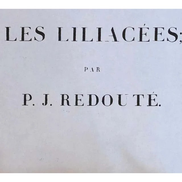 Gladiolus Carnelus Hand Painted Colored Engraving Signed p.j. Redoute For Sale - Image 10 of 13