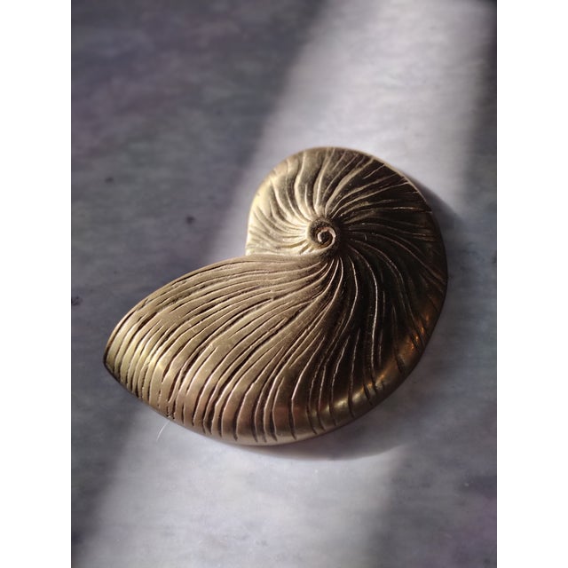 Metal Vintage Brass Nautilus Shell Wall Hanging For Sale - Image 7 of 8