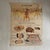 Vintage School Poster of Insectivorous Animals / Rabbit, 1950s For Sale - Image 11 of 11