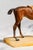 Charming Miniature Antique Austrian Cold Painted Cast Metal Horse Sculpture Statue Marble Base Equestrian Home Decor For Sale - Image 12 of 16
