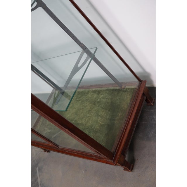 Victorian Mahogany Museum Shop Display Cabinet or Vitrine, Late 19th Century For Sale - Image 9 of 18