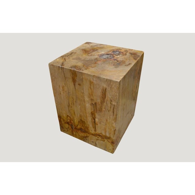 Andrianna Shamaris Petrified Wood Side Table with Cracked Resin For Sale - Image 18 of 18