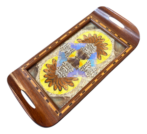 Vintage Morpho Butterfly Tray, 1940s