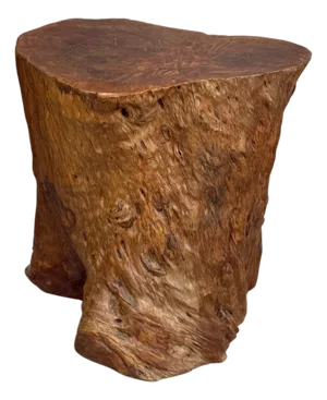 Mid 20th Century Warm Honey Brown Free-Form Tree Trunk Side Pedestal Table