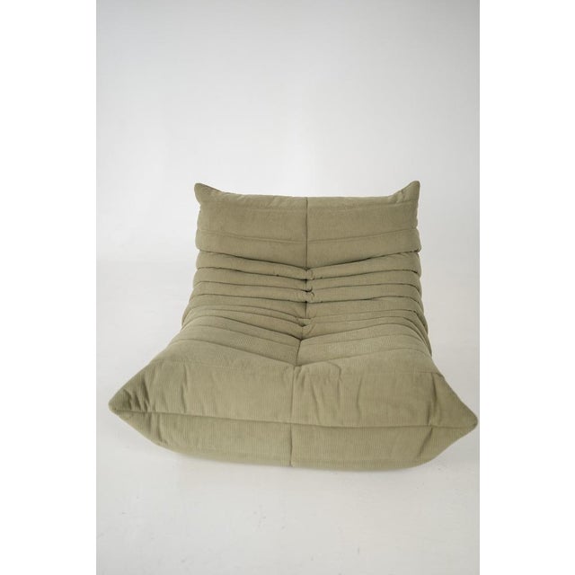 Togo Lounge Chair and Sand Corduroy by Michel Ducaroy for Ligne Roset, 1973, Set of 2 For Sale - Image 13 of 18