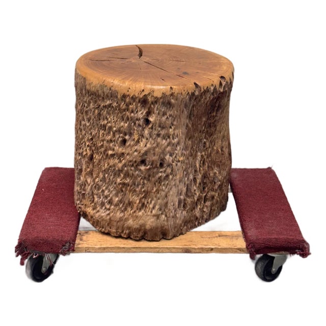 Organic Modern Live Edge Tree Side Table/Stool For Sale