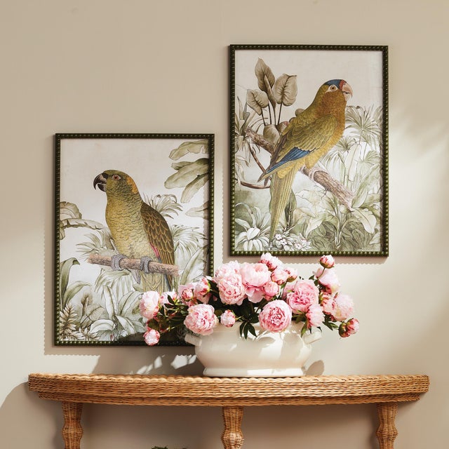 Early 21st Century Tropical Parrot Prints, Set Of 2 For Sale - Image 5 of 5