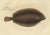 Witch Flounder, 1842, Paper For Sale - Image 3 of 5