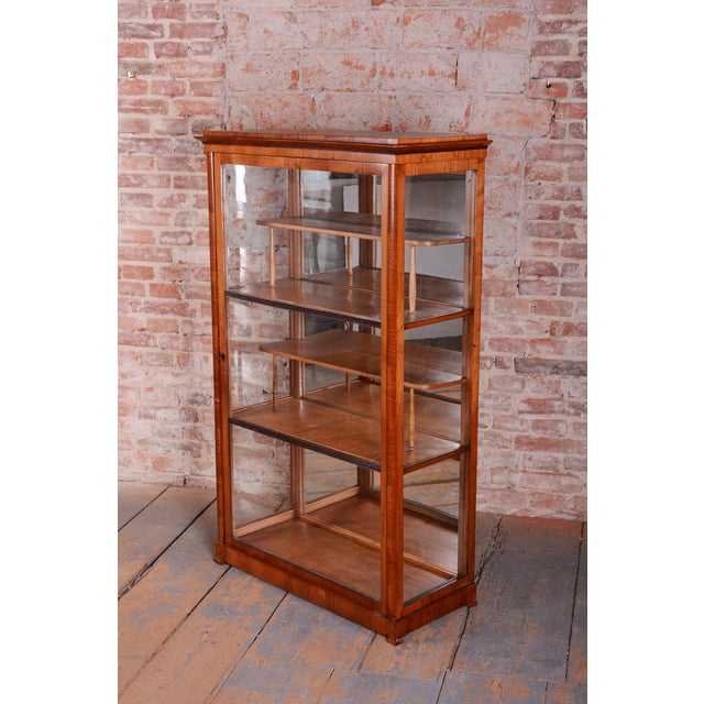 Antique Biedermeier Display Cabinet in Spruce, 1830s For Sale - Image 12 of 16