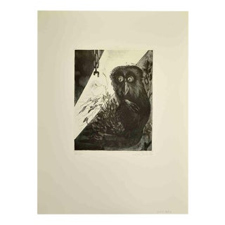Leo Guida, Black Lemur, Etching, 1972 For Sale