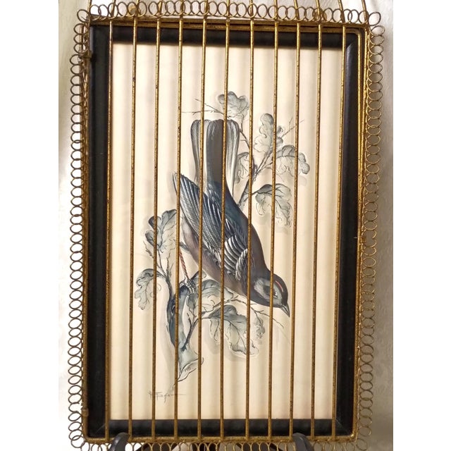 Chinoiserie 1950s Chinoiserie Caged Blue Bird Original Watercolor Painting by William Edwin Fager Gilt Metal Birdcage Frame For Sale - Image 3 of 17