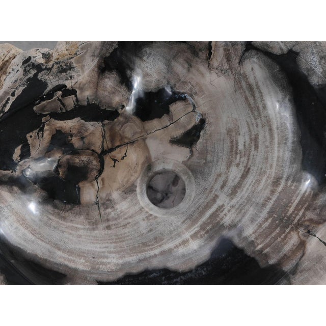 Petrified Wood Stand Alone Wash Basin by Xyleia Petrfied Wood For Sale - Image 6 of 9