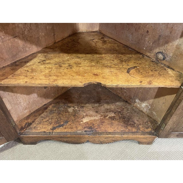 Wood 19th Century English Corner Cabinet in Oak, Mahogany, and Fir For Sale - Image 7 of 13