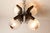Brown Murano 4-Light Chandelier in Teak from Mazzega, 1960 For Sale - Image 8 of 18