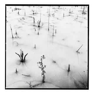 Paul Cooklin, Frozen Lake, Edition of 50 For Sale