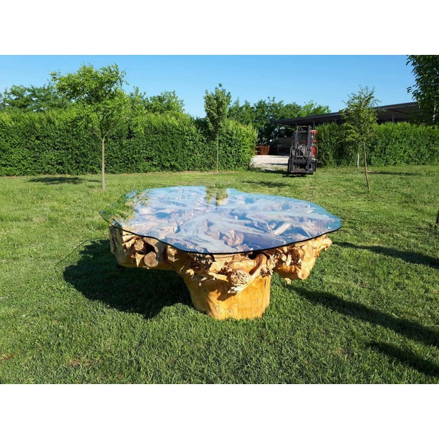 Auburn Monumental One-of-a-Kind Sculptural Root Table With Custom Tempered Glass For Sale - Image 8 of 8