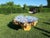 Auburn Monumental One-of-a-Kind Sculptural Root Table With Custom Tempered Glass For Sale - Image 8 of 8