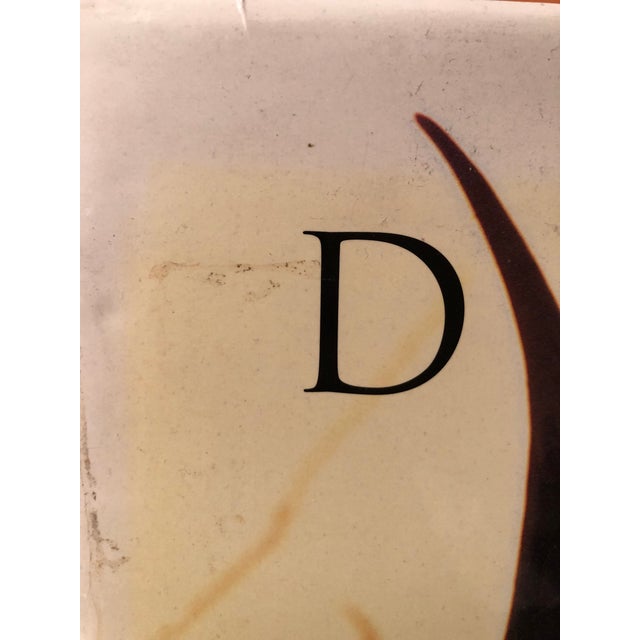 2010 Dinka: Legendary Cattle Keepers of Sudan Coffee Table Book, Rizzoli For Sale - Image 4 of 5