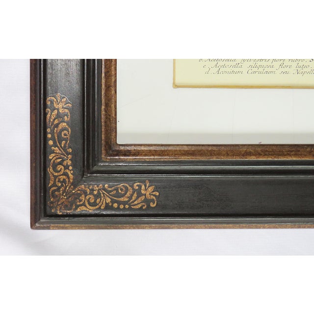 Trowbridge Gallery Art Frames With Botanical Prints a Pair Chairish