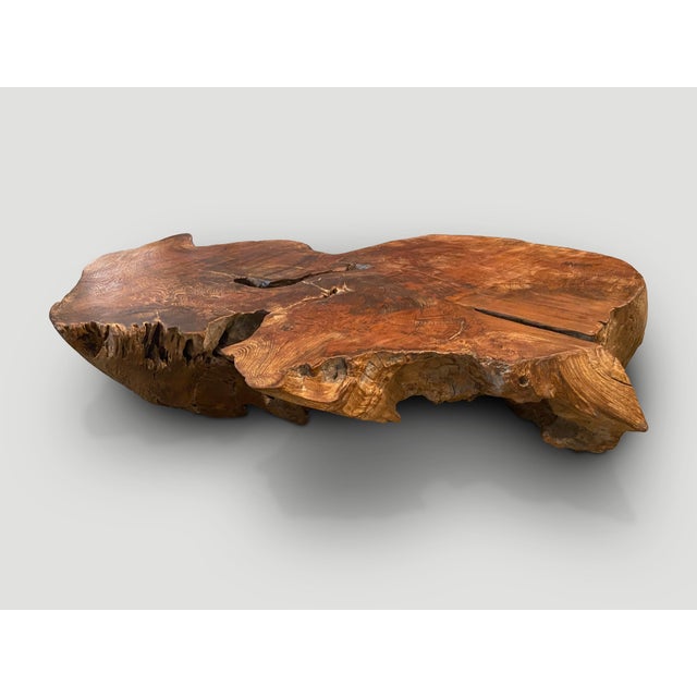 Andrianna Shamaris Sculptural Teak Wood Coffee Table For Sale - Image 9 of 18