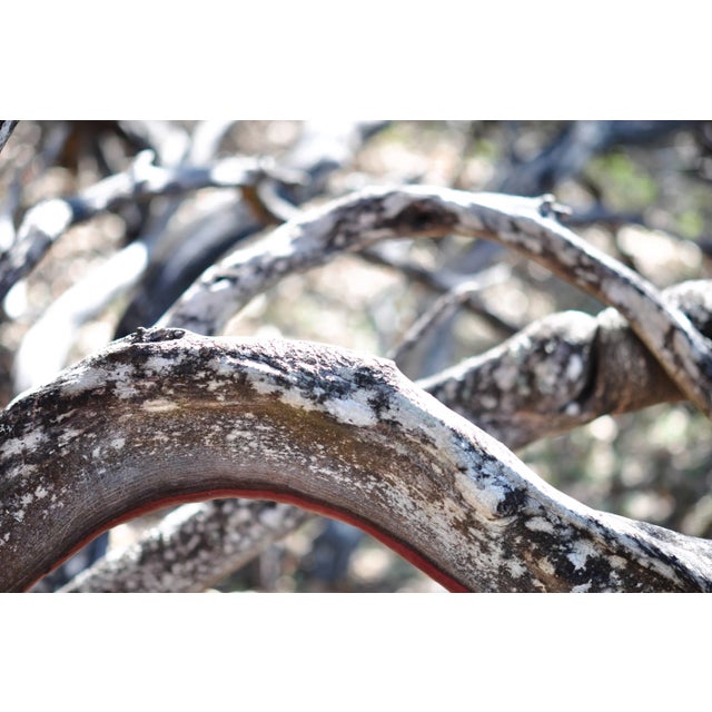 Gaétan Caron "Ligne De Vie" Mendocino, Ca Photograph 2012 For Sale