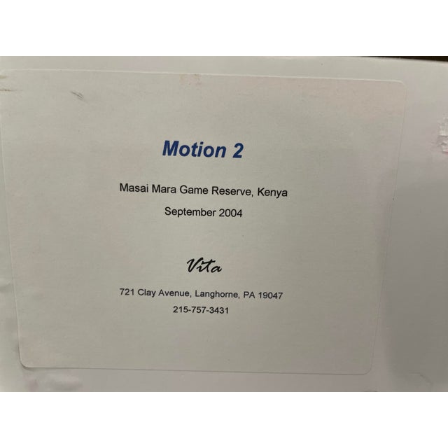 Sculpture Materials Stunning Motion-Blur Photo of Wildebeest Migration in Kenya - Signed by Vita Forlenze For Sale - Image 7 of 8