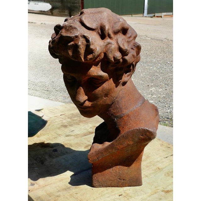 Cast Iron Bust of Michelangelos David, 1960 For Sale - Image 3 of 5
