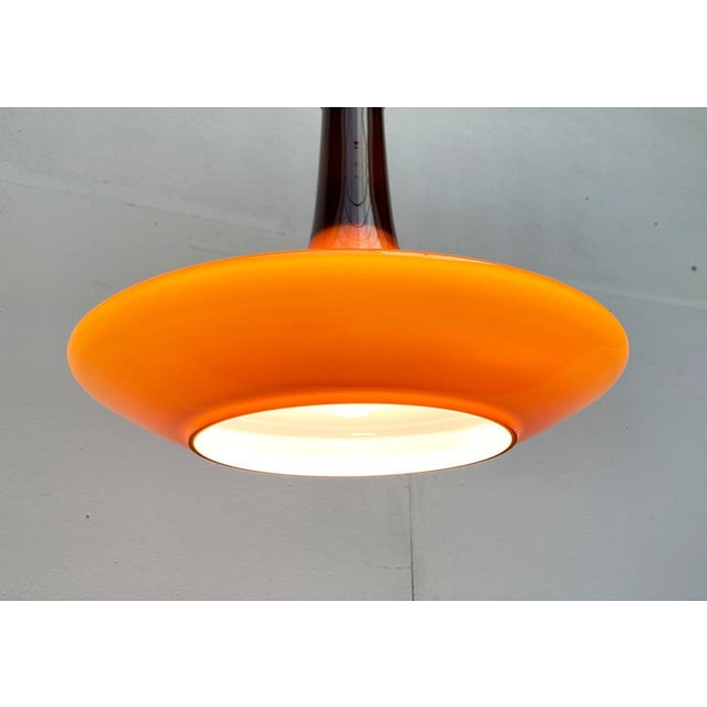 Mid-Century Tulip Glass Pendant Lamp from Peill & Putzler, 1960s For Sale - Image 11 of 18