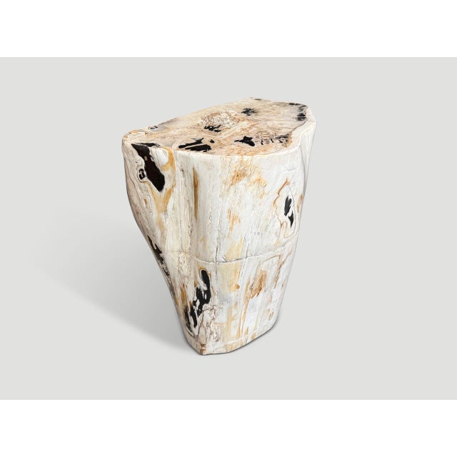 2020s Andrianna Shamaris Multifaceted Modern Organic Petrified Wood Side Table For Sale - Image 5 of 6