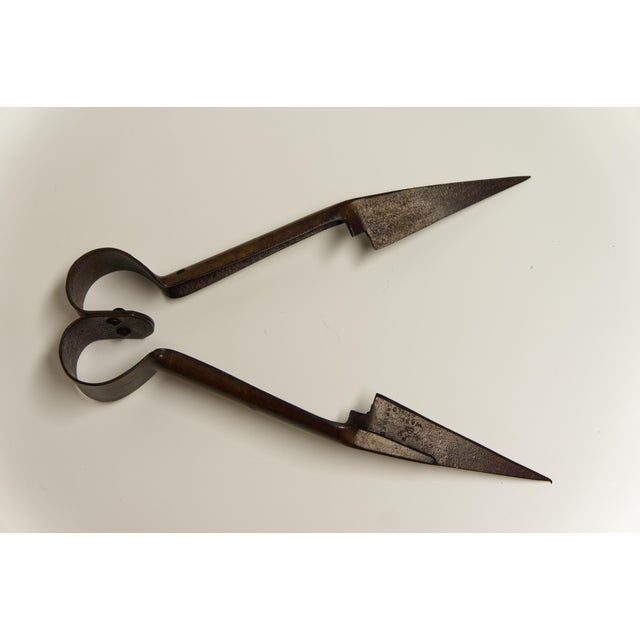 Farmhouse Ward & Payne Metal Sheep Shears Scissors For Sale - Image 3 of 7