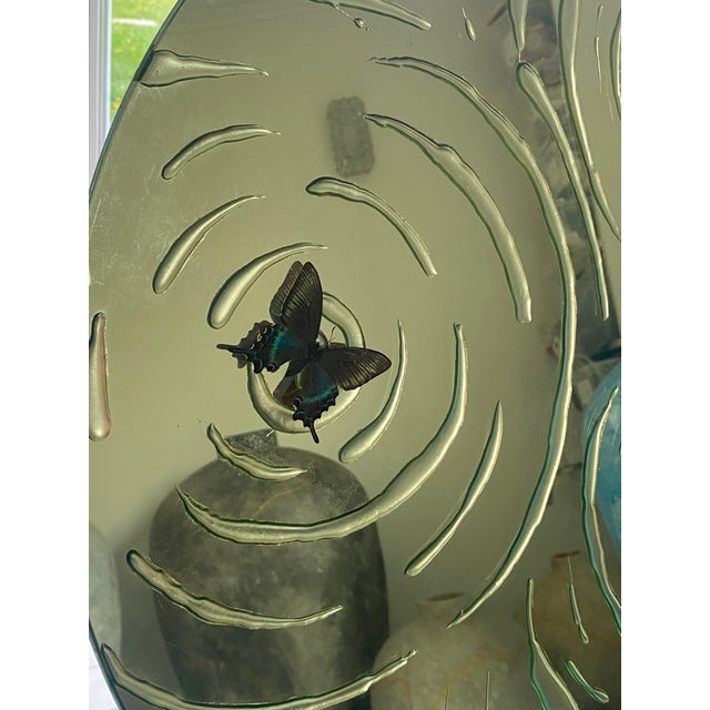 "Encyclia" On the mirror of a peaceful pond, a butterfly with variegated wings poses its fleeting grace. Its delicate...