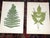 Antique 19th Century Botanical Fern Wood Engravings - Set of 12 For Sale In Cincinnati - Image 6 of 9