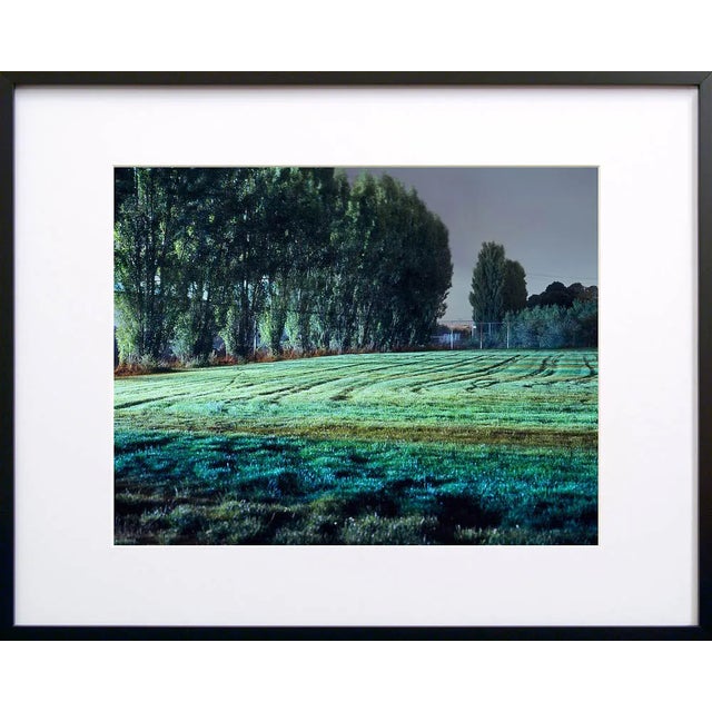 Note from the artist, John Vias: "The repeating patterns of trees, furrows in the grass, and varying colors in the turf...