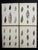 Hand-Colored Antique George Sowerby Engraved Plates Ft. Seashells - Set of 6 For Sale - Image 6 of 11