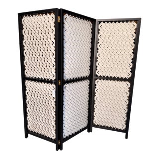 Pinetti Screen With Cream Woven Leather and Black Frame For Sale